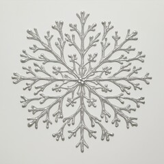 Intricate silver snowflake on white background
