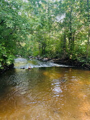 creek in the forest