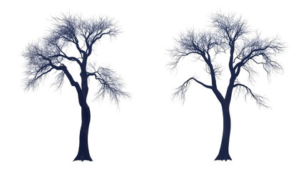 Obraz premium Twisted Trees on a Transparent Background Generative AI