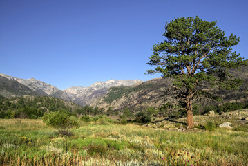 USA, Colorado. Rocky Mountain National Park