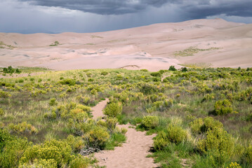 USA, Colorado. Winding path in Great Sand Dunes National Park