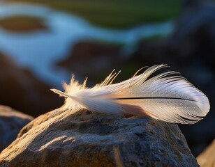 Delicate Feather Resting on a Solid Stone, Representing the Perfect Harmony of Strength and Lightness