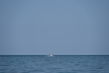 ship at sea and beautiful landscape,