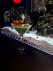 Colorful Craft Martini in Front of Fish Tank