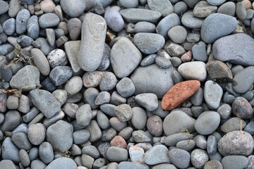 a sea ​​stones and pebbles