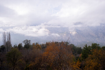 Majestic mountain scenery with clouds peeking through the trees