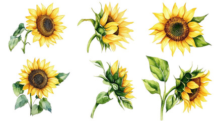 Beautiful Watercolor Sunflowers in Vibrant Detail Generative AI