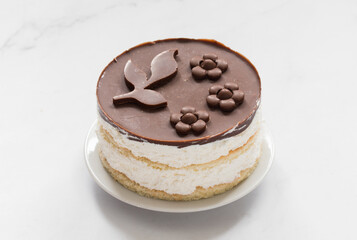 Bird's Milk Cake. Vanilla souffle, biscuit, with chocolate on top. On a plate.  Close-up