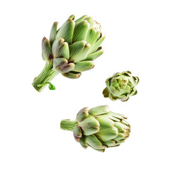 Fototapeta premium Fresh artichokes isolated on white background