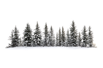 Fototapeta premium Snow landscape isolated on a white background