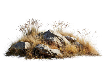Savanna with faded grass and rocks isolated on a white background