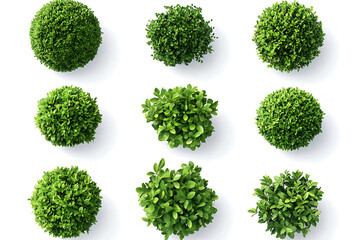 Set of green garden bushes isolated on a white background