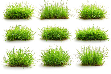 Set of green lawns isolated a white background