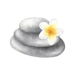 Stack of flat grey pebbles with plumeria flower. Hand drawn watercolor illustration of balancing smooth stones with frangipani isolated from background. Drawing for meditation, spa or Zen design.