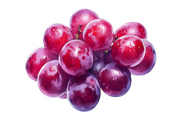 Red grapes isolated a white background