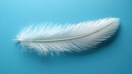 Naklejka premium A delicate white feather resting on a vibrant blue background.
