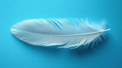 Obraz premium A delicate white feather resting on a vibrant blue background.