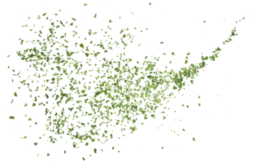 Chopped dry parsley leaves flying, isolated on white, clipping 