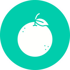 Orange icon single vector illustration