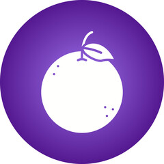 Orange icon single vector illustration