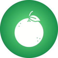 Orange icon single vector illustration