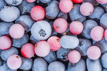 frozen multicolored blueberries and cranberries covered with frost close-up