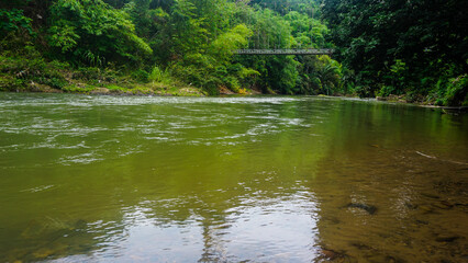 Scenic View of a River Surrounded by Lush Green Foliage and a Small Bridge
