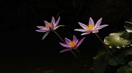   A lush green leaf covered lake with waterlilies surrounded by a forest, featuring a few purple flowers