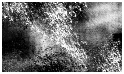 Black and white texture resembles sprayed paint splatters.