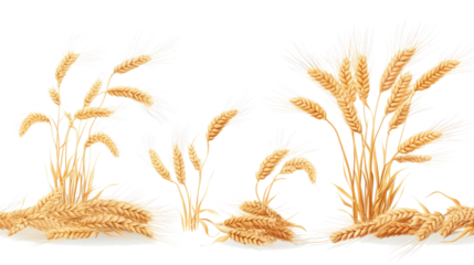 Isolated Wheat Ears on Transparent Background Generative AI