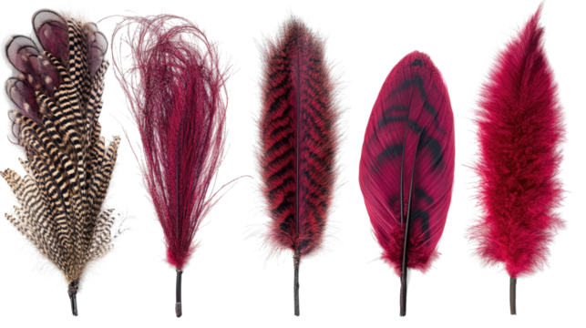 Ethereal Phoenix Plumes in Vibrant Colors Generative AI