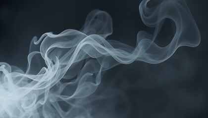 Obraz premium Abstract White Smoke Swirls Dark Background Design fog air art grey 
