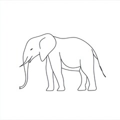 Fototapeta premium Elephant line drawing, African savanna background, illustration, children's book