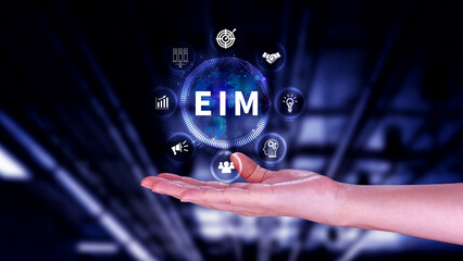 EIM Enterprise information management system, EIM Global Network with Analyzing Technological Data, Efficient Information Management, Network Connection.