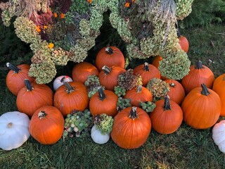 pumpkins and gourds