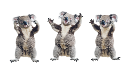 Playful Koalas Expressing Joy in a Fun Collection Generative AI