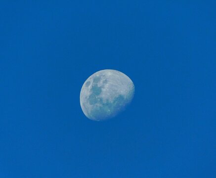 Waxing gibbous moon over blue sky. - Powered by Adobe