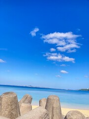 Fototapeta premium 海 