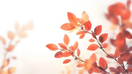 Delicate Coral Leaves Branch Against Bright Background