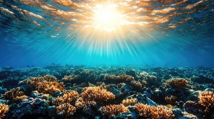 Obraz premium Underwater coral reef scene, sun rays, ocean background, nature photography, ideal for travel brochures