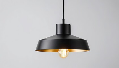 Modern Pendant Lamp with Matte Black and Gold Finish