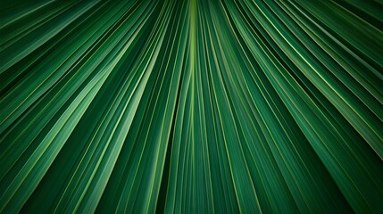 Lush Green Palm Leaf Texture Radiating Outward