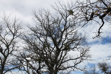  Mineral Wells State Park
