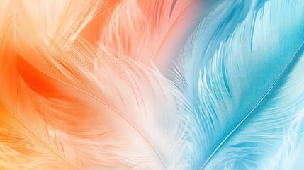 Obraz premium Abstract image of colorful feathers in orange, white, and blue tones.