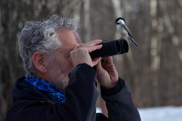 Black Capped Chickadee sitting on the binoculars of a bird watcher.  Humorous and unexpected portrait!