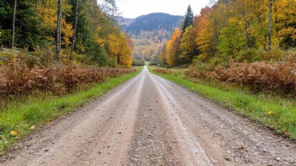 Fototapeta premium Autumnal road through forest, mountain backdrop, tranquil scene, ideal for travel brochure
