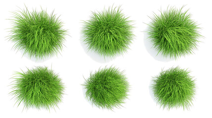 Vibrant Grass Bushes on Clear Background Generative AI