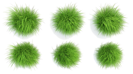 Vibrant Grass Bushes on Clear Background Generative AI