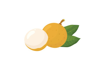 A whole and half longan fruit with leaves. longan fruit illustration in flat style vector