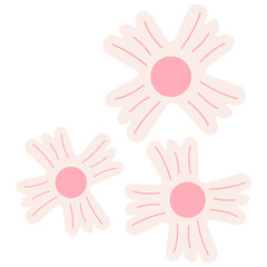 Aesthetic flowers vector